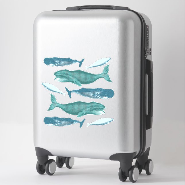 Sticker Baleines bleues Vintages agrafées Steampunk (Sur valise)