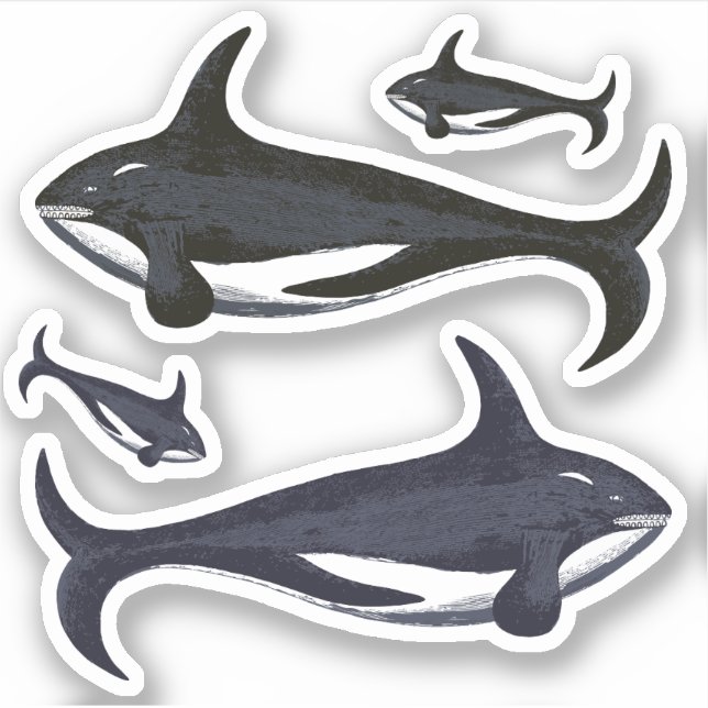 Sticker Baleines tueuses (Devant)
