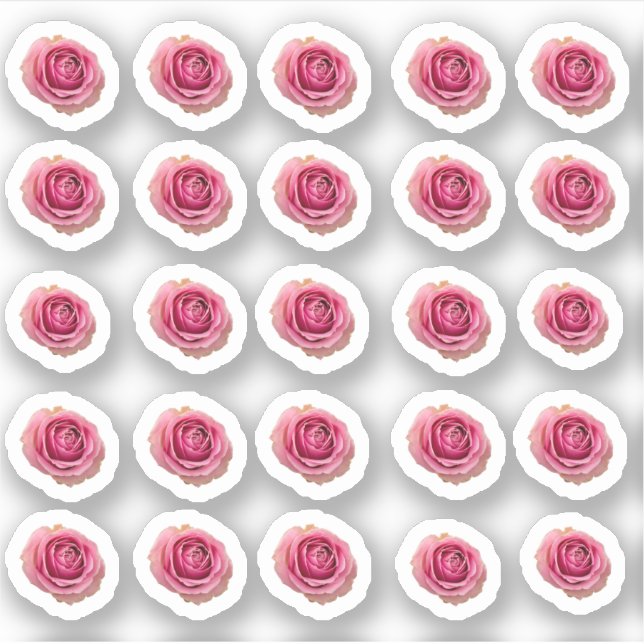 Sticker Beaucoup de petites roses roses roses (Devant)