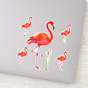Sticker Beaux Flamants roses