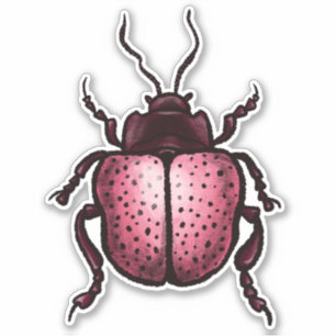 Sticker Beetle Rose Cute Bute Art - Insect Lover