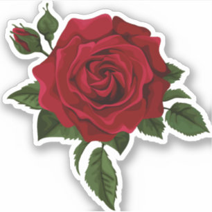 Sticker Belle aquarelle Fleur rouge Rose