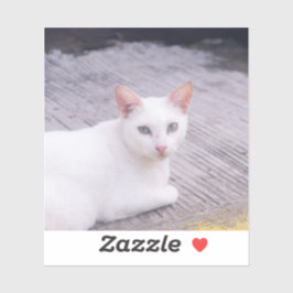 Sticker Belle Chat Blanc