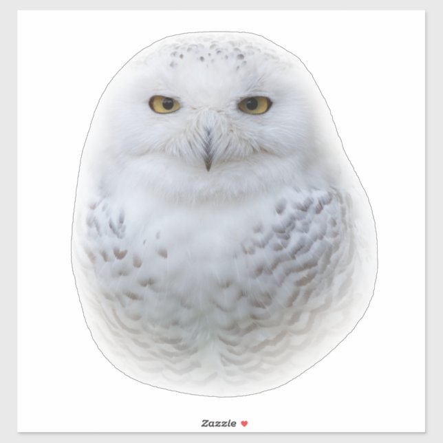 Sticker Belle, Dreamy et Serene Snowy Owl (Feuille)