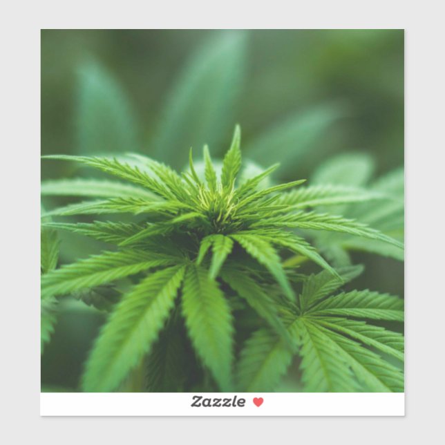 Sticker Belle mauvaise herbe (Feuille)