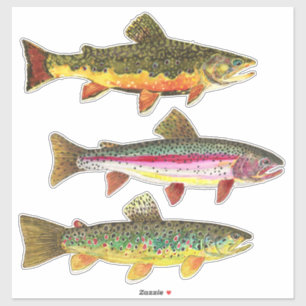 Sticker Belle truite - Brook, Brown, pêche en arc-en-ciel