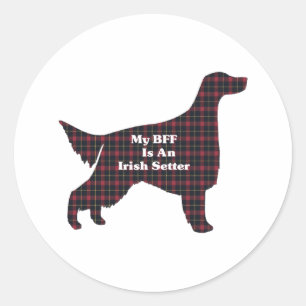 Sticker BFF Setter irlandais