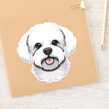 Bichon Frise mignon Chien Visage Chien Chien Chien