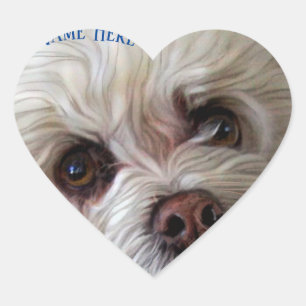 Sticker Bichon Poodle Maltese PeekaBoo