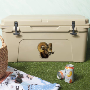 Sticker BighorRam Mountain Sheep Faune Nature