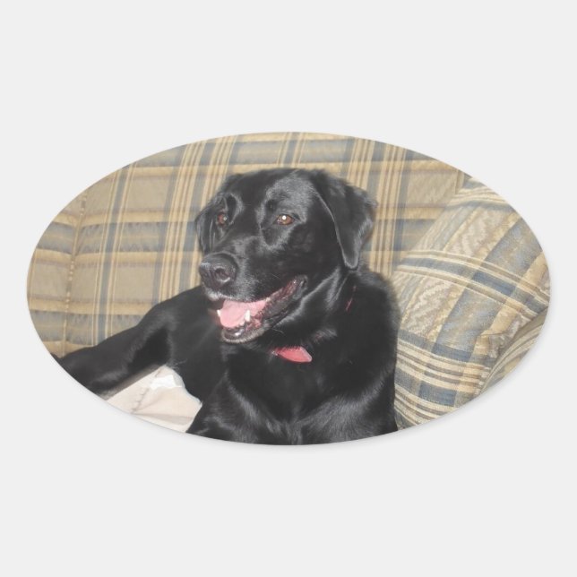 Sticker Black Lab (Devant)
