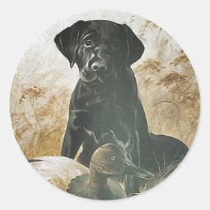 STICKER Black Lab Labrador Retriever Decoy Hund