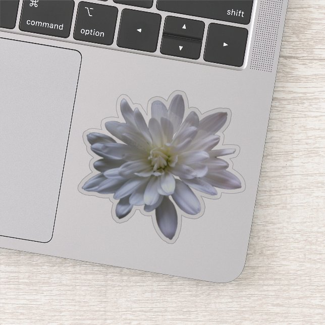 Sticker Blanc floral blanc marguerite blanc maman blanche  (Détail)