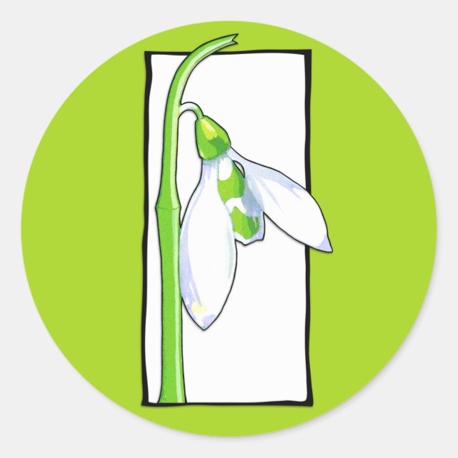 Sticker blanc vert neige (Devant)