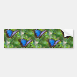 Sticker Bleu Butterfly
