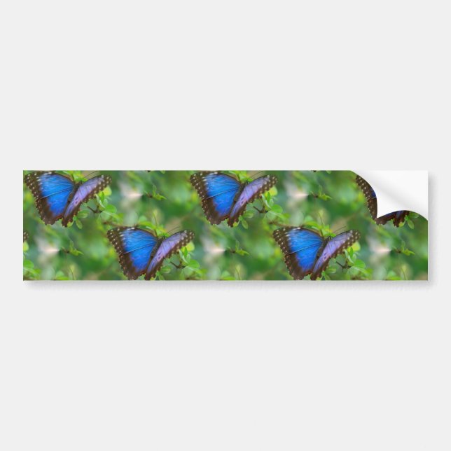 Sticker Bleu Butterfly (Devant)