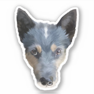 Sticker Blue Heeler / Australian Cattle Dog
