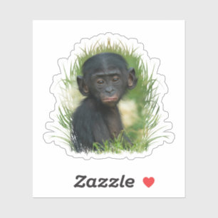 Sticker Bonobo Baby dans l'herbe