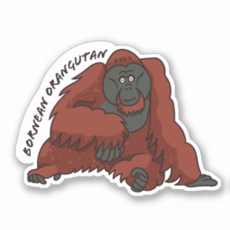 Sticker "Bornean Orangutan"
