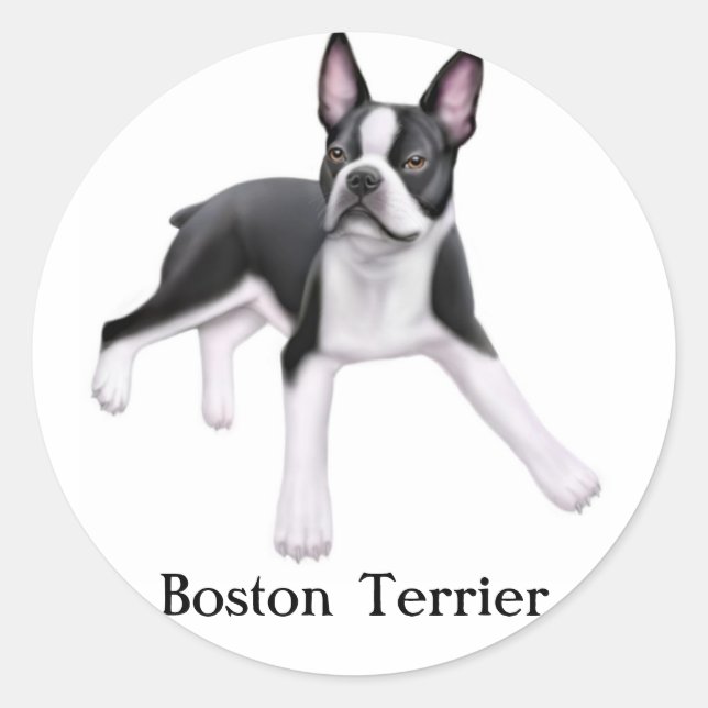 Sticker Boston Terrier (Devant)