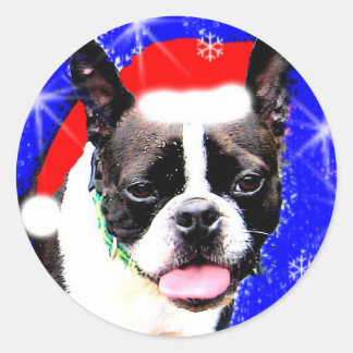Sticker Boston Terrier Père Noël