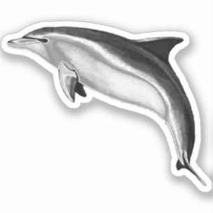 STICKER BOTTLENOSE DOLPHIN