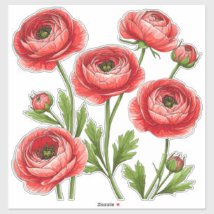 Sticker Bouquet de renoncules rouge vibrant avec des tiges
