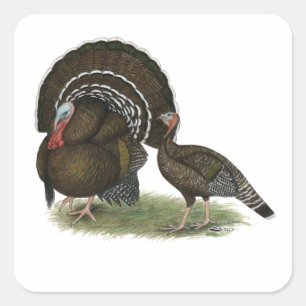 Sticker Bronze standard de Turkey