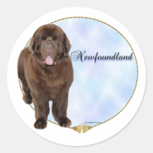 Sticker Brown pour portrait de Terre-Neuve