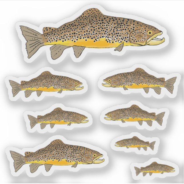Sticker Brown Trout (Devant)