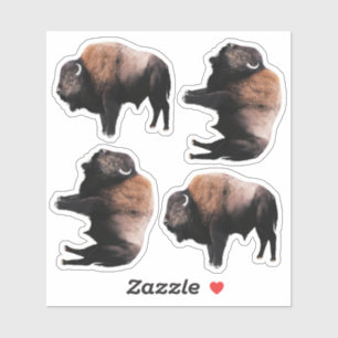 Sticker Buffle Brown américain
