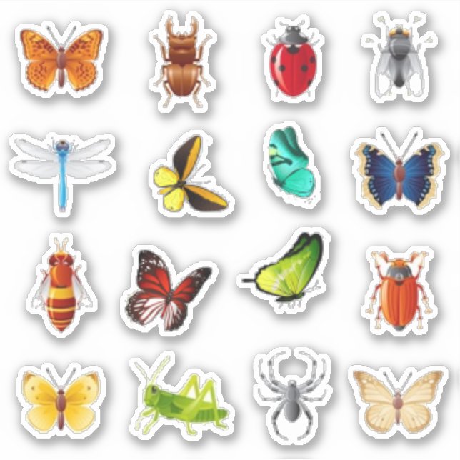 Sticker Bugs et scrapbook papillon (Devant)