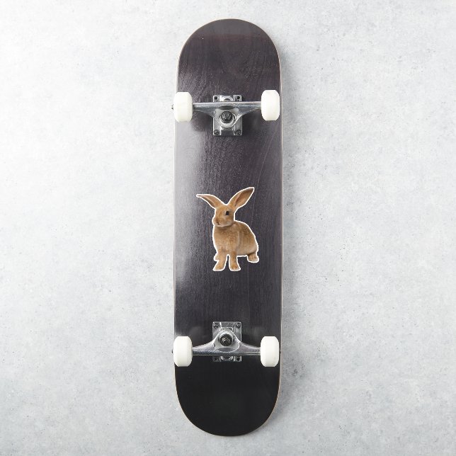 Sticker Bunny Brown (Skateboard)