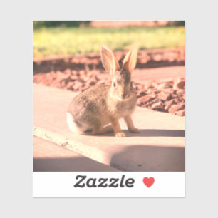 Sticker bunny rabbit photo Easter spring