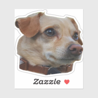 Sticker Buster