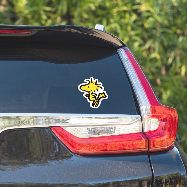 Sticker cacahuètes | Woodstock Smile (Côté voiture)
