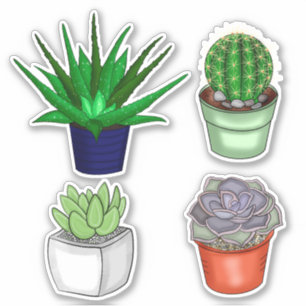 Sticker Cactus à main et succulents