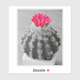 Sticker Cactus Plante noir blanc photo avec Fleur rose