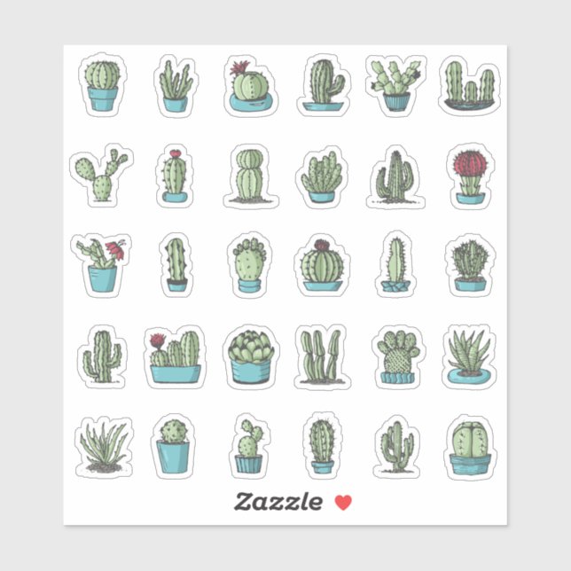 Sticker Cactus Succulents Plante main tiré Botanique (Feuille)