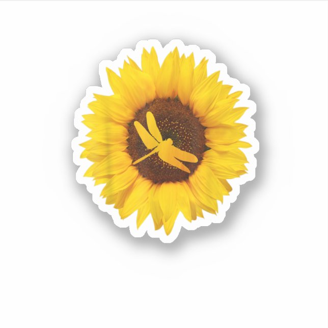 Sticker Cadeau De Dragonfly Pour Femmes Hommes Enchauffer  (Devant)