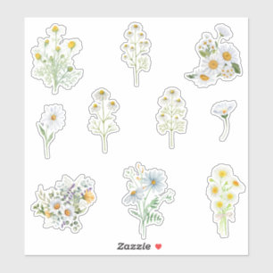 Sticker Camomille flowers