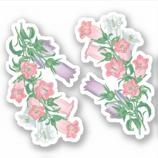 Sticker Canterbury Bells pour St. Thomas Becket (fL) - (Devant)