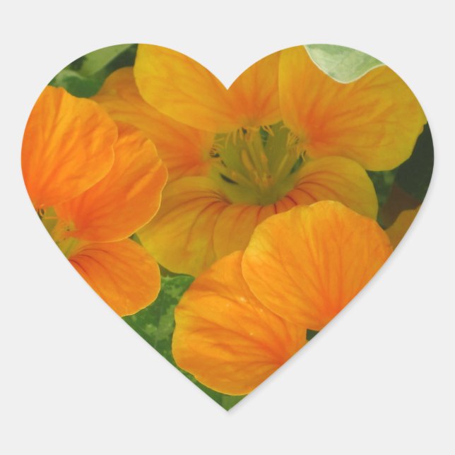 Sticker cardiaque du Nasturtium (Devant)