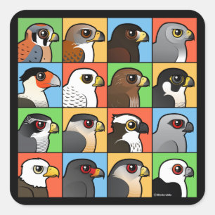 Sticker Carré 16 Profils nord-américains de Raptor
