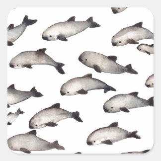 Sticker Carré 30 dauphins de marsouin de vaquita