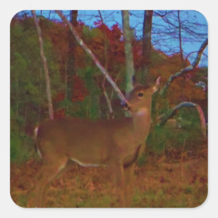 Sticker Carré A Deer : Gold Red Green et Blue