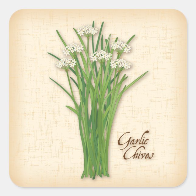 Sticker Carré à l'ail Chives (Devant)