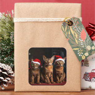 Sticker Carré Abyssinian près de la cheminée Noël