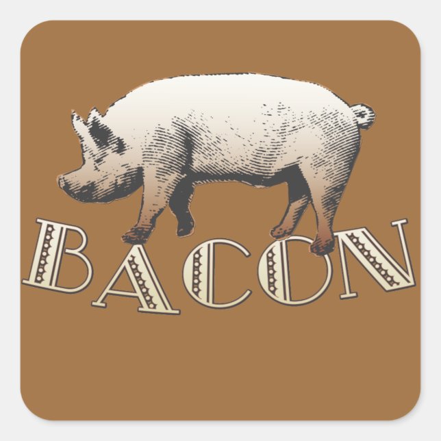 Sticker Carré Acrobat BACON Pig (Devant)