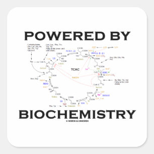 Sticker Carré Actionné par la biochimie (cycle de Krebs)
